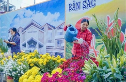 Điện Biên: Phong phú chợ hoa, cây cảnh những ngày giáp Tết