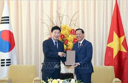 Lãnh đạo TP Hồ Chí Minh tiếp Chủ tịch Quốc hội Hàn Quốc