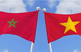 Triển vọng tươi sáng cho quan hệ thương mại Việt Nam - Maroc