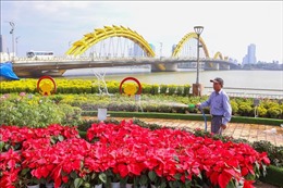 Đà Nẵng: Các điểm vui chơi công cộng được trang trí rực rỡ đón Tết 
