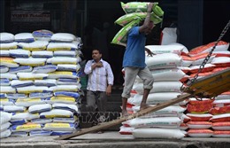 Thị trường nông sản thế giới: Giá gạo xuất khẩu của Ấn Độ ổn định sau 4 tuần giảm liên tiếp