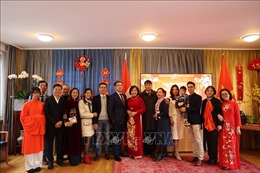 Đại sứ quán Việt Nam tại Thụy Sĩ tổ chức mừng Tết cổ truyền
