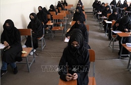 Taliban hạn chế nữ sinh Afghanistan thi đại học