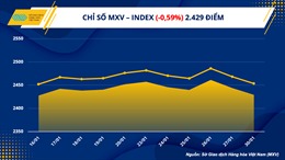 Lực bán mạnh trên thị trường năng lượng kéo chỉ số hàng hoá MXV-Index giảm nhẹ