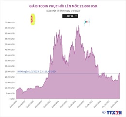 Giá Bitcoin phục hồi lên mốc 23.000 USD