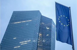 Lạm phát của Eurozone giảm mạnh hơn dự kiến