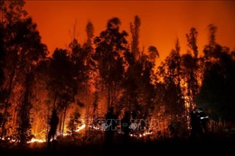 Ít nhất 24 người đã thiệt mạng do cháy rừng tại Chile