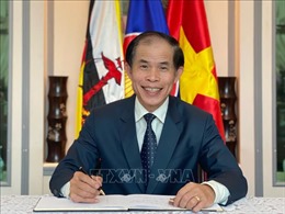 Tạo xung lực mạnh mẽ cho quan hệ Việt Nam - Brunei
