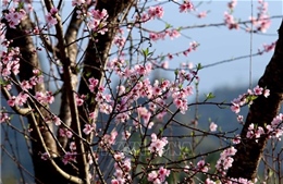 Ủy viên Bộ Chính trị Nguyễn Thanh Nghị chúc Tết nhân dân nơi địa đầu cực Nam Tổ quốc