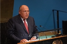 Ngoại trưởng Ai Cập khẳng định người Palestine phải quyết định tương lai Dải Gaza
