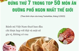 Các loại bánh mì ngon nổi tiếng của Việt Nam