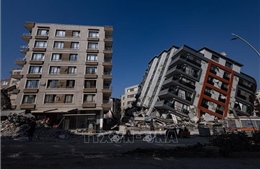 Thổ Nhĩ Kỳ điều tra các nhà thầu xây dựng sau thảm họa động đất