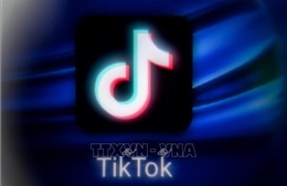 Các cơ quan chính phủ của Australia cấm sử dụng TikTok 