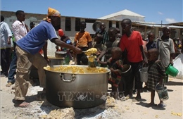Liên hợp quốc cảnh báo về nạn đói nghiêm trọng ở Somalia