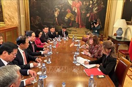 Đồng chí Trần Thanh Mẫn hội đàm với lãnh đạo lưỡng viện Tây Ban Nha