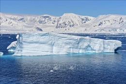 Sóng thần tại Tonga là nguyên nhân băng ở Nam Cực tách ra