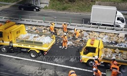 Đâm xe liên hoàn ở Nhật Bản làm 3 người thiệt mạng