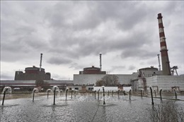 Nga và IAEA thảo luận lập vùng an toàn cho nhà máy điện hạt nhân Zaporizhzhia