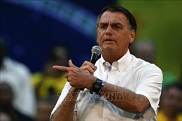 Cựu Tổng thống Brazil Jair Bolsonaro về nước để tham gia chính trường
