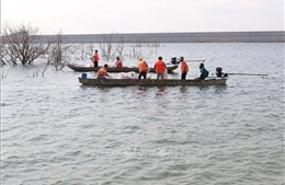 Ninh Thuận thả cá giống tái tạo nguồn lợi thủy sản xuống hồ chứa nước sông Cái