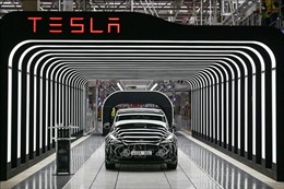 Tesla giảm giá xe Model 3, Model Y tại Singapore