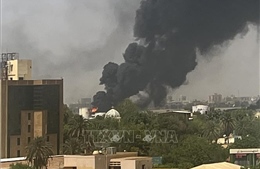 Liên đoàn Arab kêu gọi ngừng bắn ngay lập tức ở Sudan