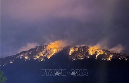 Lâm Đồng khen thưởng tập thể, cá nhân khống chế đám cháy hơn 10 ha rừng