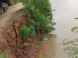 An Giang cảnh báo 56 đoạn sông nguy cơ sạt lở 