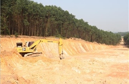 Làm rõ việc đào, lấy đất lâm nghiệp trái phép quy mô lớn ở Quảng Trị