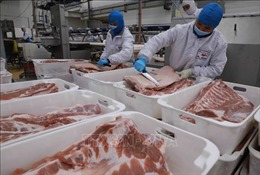 Xuất khẩu thịt và các sản phẩm từ thịt tăng trưởng 2 con số 