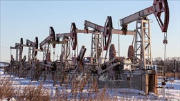 Giá dầu và đồng USD cùng tăng đáng kể