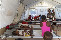 Hội đồng Bảo an Liên hợp quốc quan ngại về tình hình ở Haiti