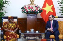 Bộ trưởng Ngoại giao Bùi Thanh Sơn tiếp Tổng Giám đốc WTO