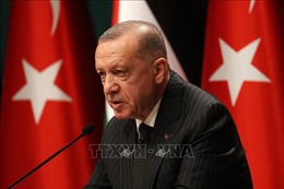 Thổ Nhĩ Kỳ sẵn sàng đóng vai trò đảm bảo cho Palestine trong đàm phán với Israel