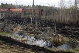 &#39;Bước ngoặt&#39; cho nỗ lực dập tắt cháy rừng tại miền Tây Canada
