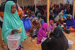 6,6 triệu người Somalia mất an ninh lương thực