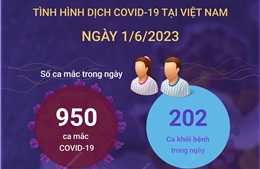Ngày 1/6/2023: Cả nước ghi nhận 950 ca COVID-19 mới, 202 F0 khỏi bệnh