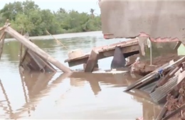 Sạt lở bờ sông ở Bạc Liêu làm hư hại 96 căn nhà