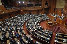 Đảng đối lập lớn nhất Nhật Bản phản đối tổ chức bầu cử Hạ viện trước thời hạn