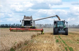 Ngành nông nghiệp của Ukraine có thể mất 20 năm để phục hồi