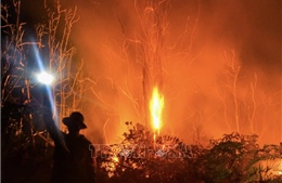 Indonesia thiệt hại hơn 28.000 ha do cháy rừng