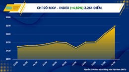 Giá hàng hóa thế giới phục hồi mạnh, chỉ số MXV-Index lên cao nhất hai tháng
