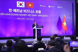 Thủ tướng Phạm Minh Chính và Tổng thống Yoon Suk Yeol tham dự Diễn đàn Doanh nghiệp Việt Nam - Hàn Quốc