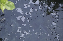 Bức xúc ô nhiễm từ nước thải sinh hoạt ở thành phố Quảng Ngãi