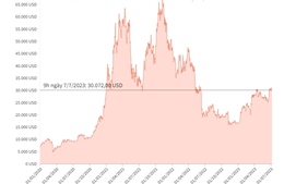 Giá Bitcoin rơi khỏi mốc 30.000 USD