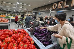 FAO: Giá lương thực thế giới tiếp tục giảm trong tháng 6