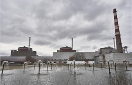 IAEA đạt tiến bộ trong việc tiếp cận nhà máy điện hạt nhân Zaporizhzhia