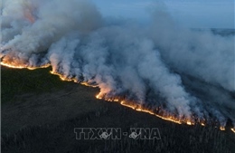 Cháy rừng thiêu hủy hơn 10 triệu ha tại Canada 