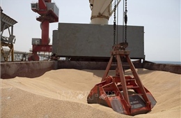 Pakistan và Ukraine kêu gọi khôi phục Sáng kiến ngũ cốc Biển Đen
