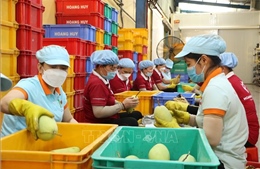 Tăng cường đưa hàng nông sản Việt Nam tới người tiêu dùng Singapore